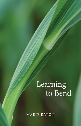 Cover image for Learning to Bend