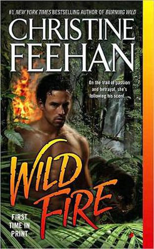 Cover image for Wild Fire