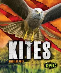 Cover image for Kites: Birds of Prey