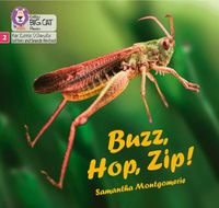 Cover image for Buzz, Hop, Zip!: Phase 2 Set 5