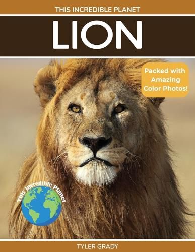 Cover image for Lion