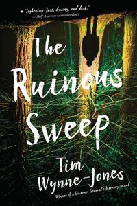 Cover image for The Ruinous Sweep