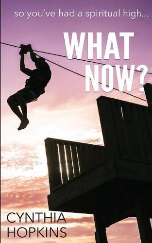 Cover image for What Now?: So You Had a Spiritual High...