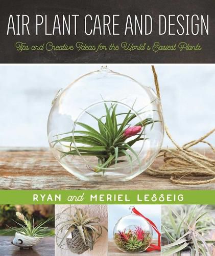 Cover image for Air Plant Care and Design: Tips and Creative Ideas for the World's Easiest Plants