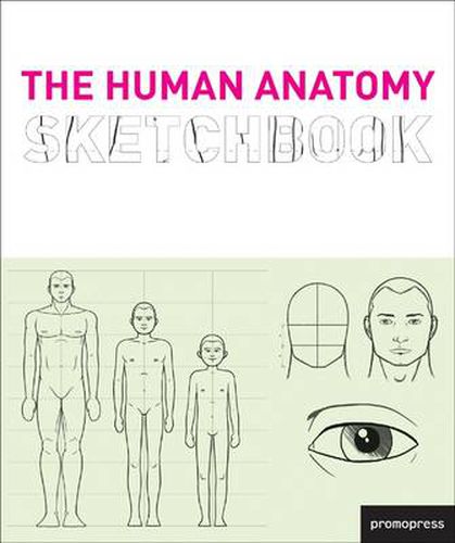 Cover image for The Human Anatomy Sketchbook