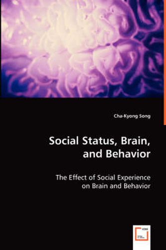 Cover image for Social Status, Brain, and Behavior