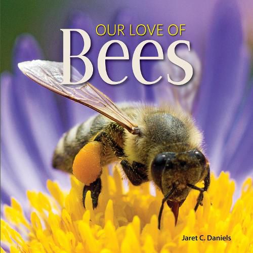 Cover image for Our Love of Bees