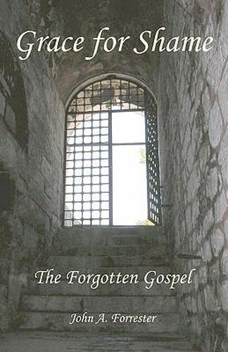 Cover image for Grace for Shame: The Forgotten Gospel