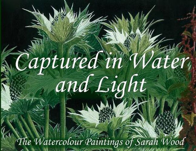 Cover image for Captured in Water and Light