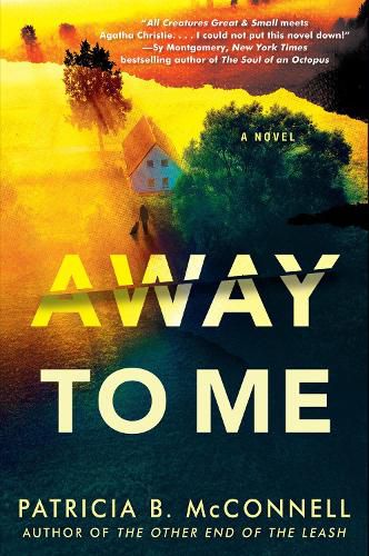 Cover image for Away to Me
