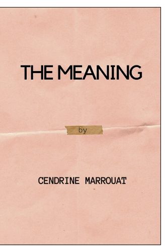 Cover image for The Meaning