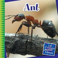 Cover image for Ant