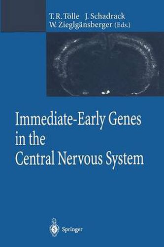 Cover image for Immediate-Early Genes in the Central Nervous System