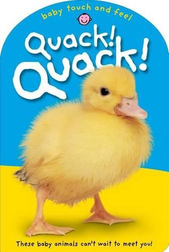 Cover image for Quack!