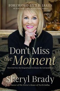 Cover image for Don't Miss the Moment: How God Uses the Insignificant to Create the Extraordinary