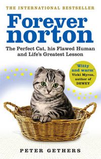 Cover image for Forever Norton: The Perfect Cat, His Flawed Human and Life's Greatest Lesson