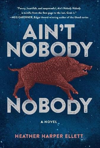 Cover image for Ain't Nobody, Nobody