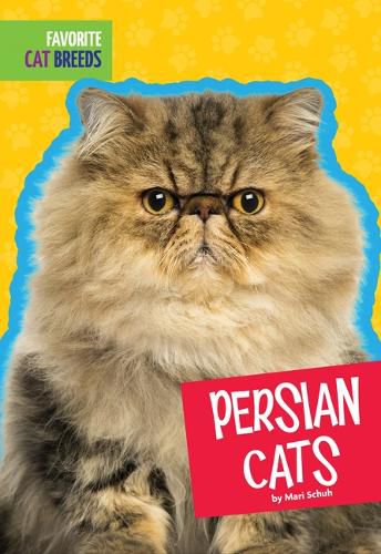 Cover image for Persian Cats