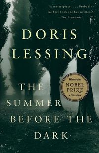 Cover image for The Summer Before the Dark