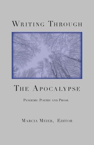 Cover image for Writing Through the Apocalypse