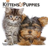 Cover image for Kittens & Puppies 2020 Mini Wall Calendar