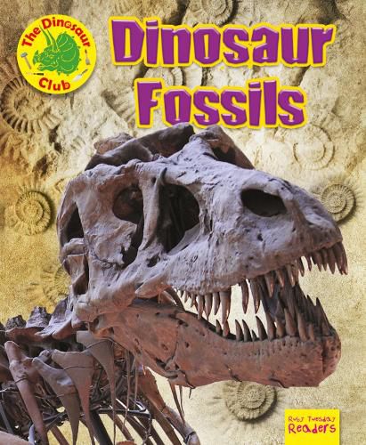 Dinosaur Fossils