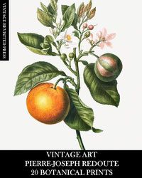 Cover image for Vintage Art: Pierre-Joseph Redoute: 20 Botanical Prints