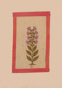 Cover image for Carnet Blanc, Fleur 2, Miniature Indienne 18e Siecle