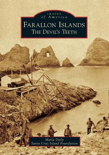 Cover image for Farallon Islands: The Devil's Teeth