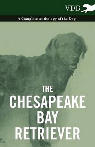 Cover image for The Chesapeake Bay Retriever - A Complete Anthology of the Dog -