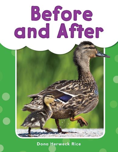 Cover image for Before and After