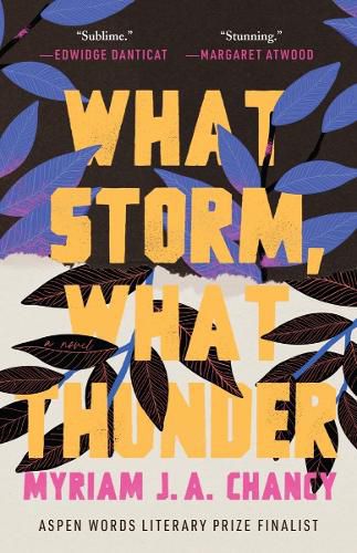 Cover image for What Thunder What Storm