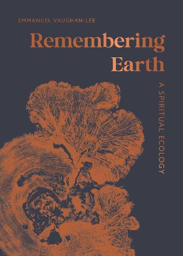 Cover image for Remembering Earth