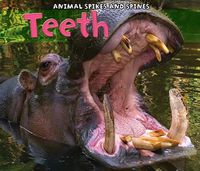 Cover image for Teeth (Animal Spikes and Spines)