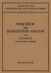 Cover image for Praktikum Der Qualitativen Analyse