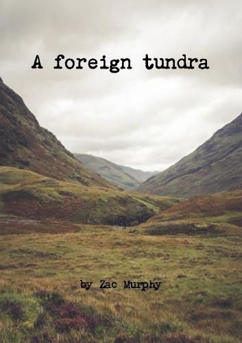 Cover image for A foreign tundra