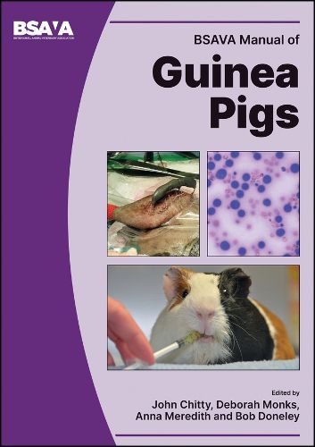 Cover image for BSAVA Manual of Guinea Pigs