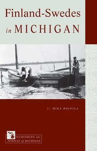 Cover image for Finland-Swedes in Michigan