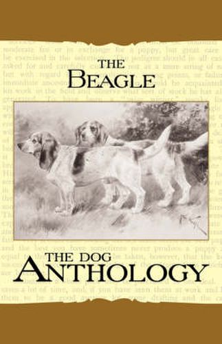 Cover image for The Beagle - A Dog Anthology (A Vintage Dog Books Breed Classic)