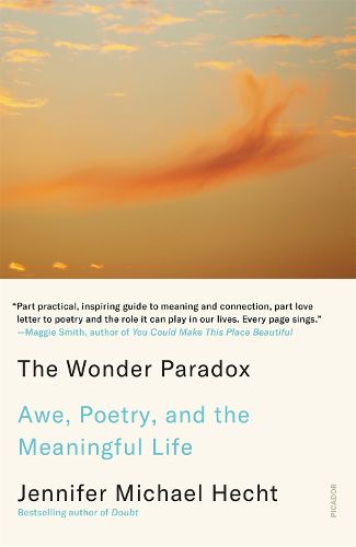 Cover image for The Wonder Paradox