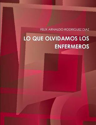 Cover image for Lo Que Olvidamos Los Enfermeros