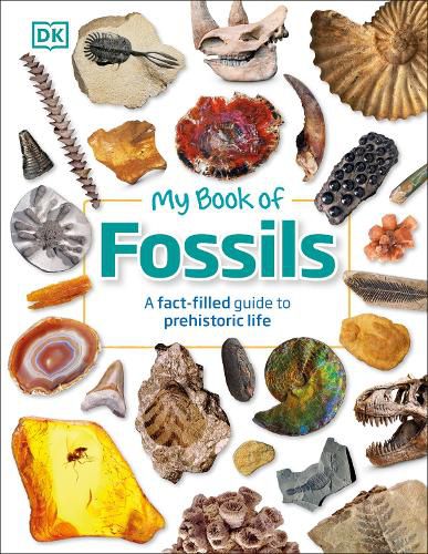 Cover image for My Book of Fossils: A fact-filled guide to prehistoric life