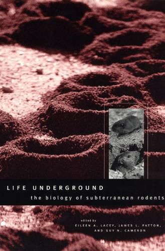 Cover image for Life Underground: The Biology of Subterranean Rodents