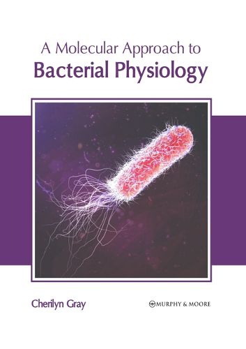 Cover image for A Molecular Approach to Bacterial Physiology