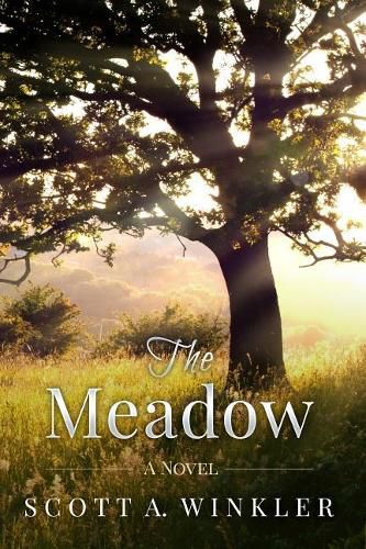 Cover image for The Meadow