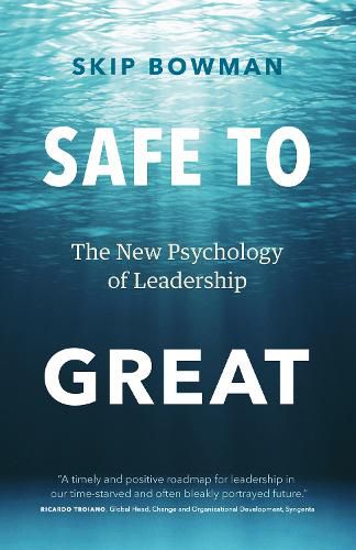 Cover image for Safe to Great