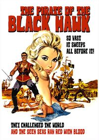 Cover image for Pirate Of The Black Hawk 