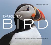Cover image for Dare to Bird