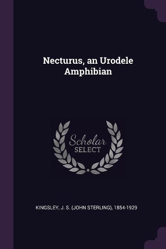 Cover image for Necturus, an Urodele Amphibian