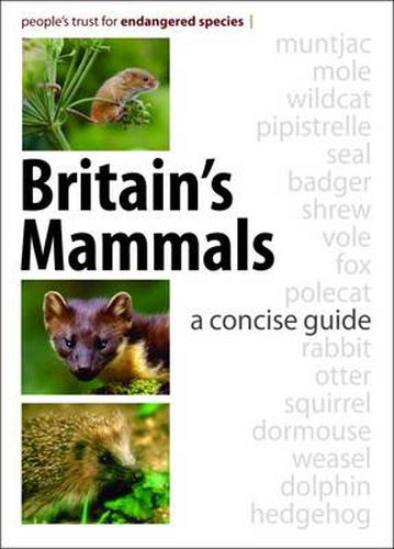 Cover image for Britain's Mammals: A Concise Guide